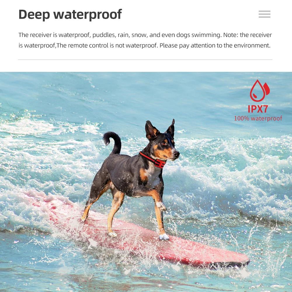 Nouveau collier de dressage pour chien étanche 500m télécommande pour animaux de compagnie Rechargea