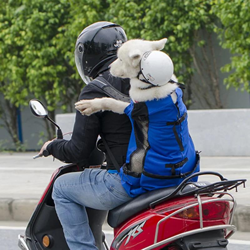 Sac à dos de transport pour animaux de compagnie, pour voyages, promenades et conduite, pour chiens 