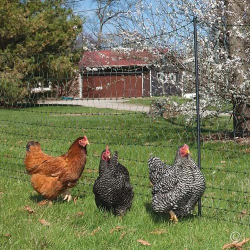 Filet Anti-oiseaux lourd, clôture et cultures de jardin, clôture de protection, maille Anti-oiseau, 