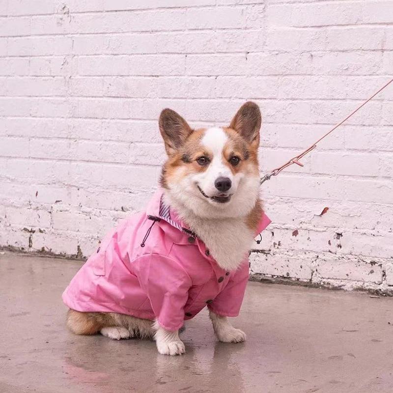 Manteau imperméable pour chien de compagnie, pour petits, moyens et grands chiens, veste coupe-vent,