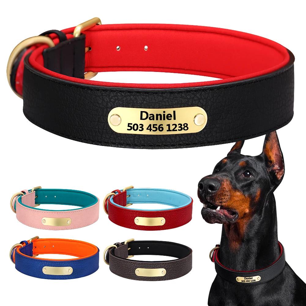 Collier de chien gravé personnalisé colliers de chiens rembourrés en cuir avec étiquette de plaque d