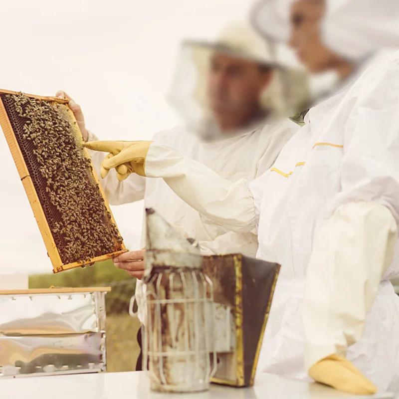 Gants de protection pour l'apiculture, manches respirantes, maille jaune, peau de mouton blanche et 