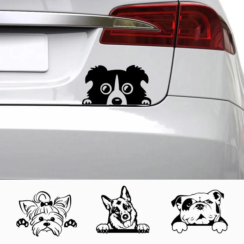Voitures accessoire décalcomanies drôle chien avec nom voiture décalcomanie chiens animaux de compag