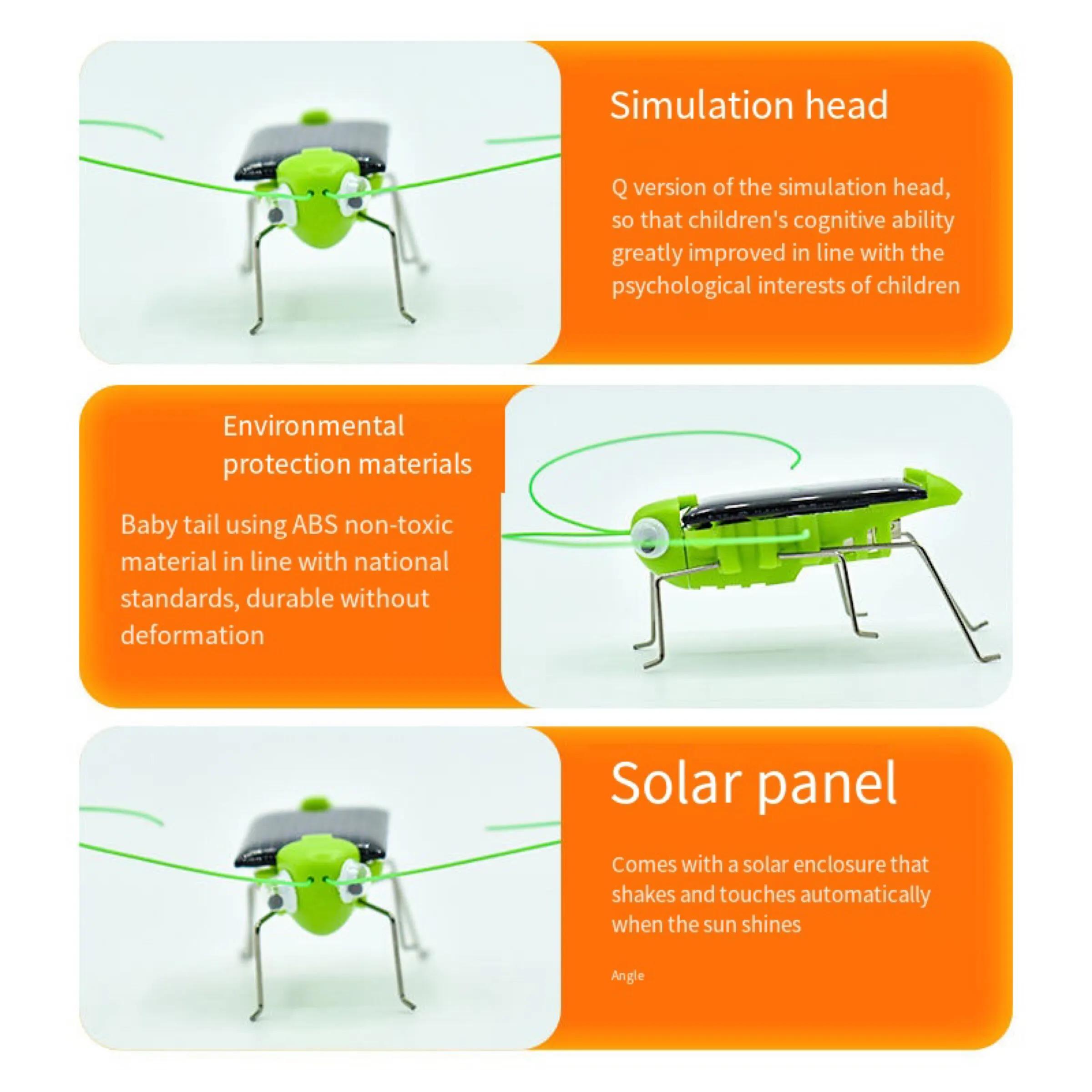 Jouet sauterelle solaire pour enfants, puzzle, cadeau sélectionné, simulation d'insecte, éducation s