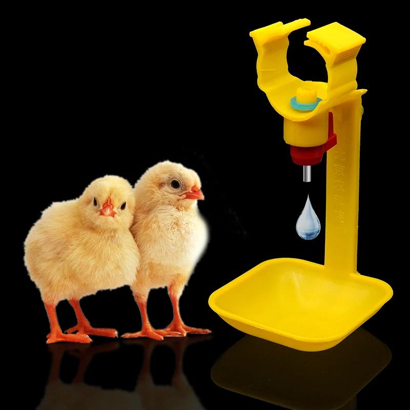 20 pièces gobelets d'eau de poulet automatique abreuvoir de mamelon d'eau de poulet abreuvoir de mam