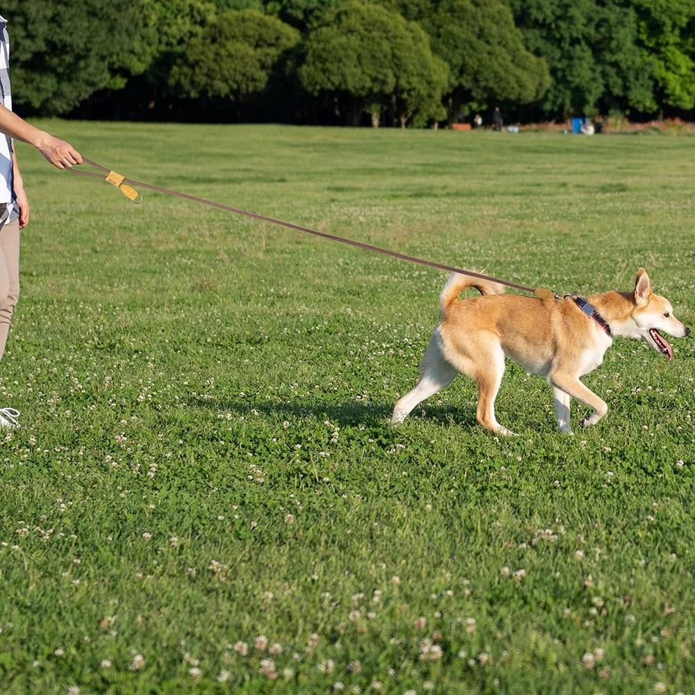 1.8M grande laisse de chien chaîne de taille Traction pour la course à pied réglage simplicité mains