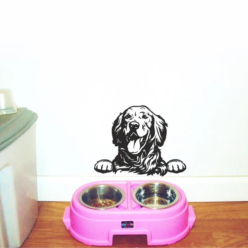 Voitures accessoire décalcomanies drôle chien avec nom voiture décalcomanie chiens animaux de compag