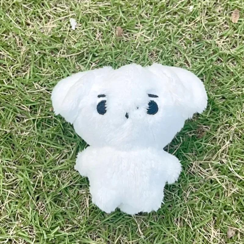 Kpop peluche JUNGWON HEESEUNG JAY JAKE SUNGHOON jouets en peluche porte-clés Kawaii dessin animé pen