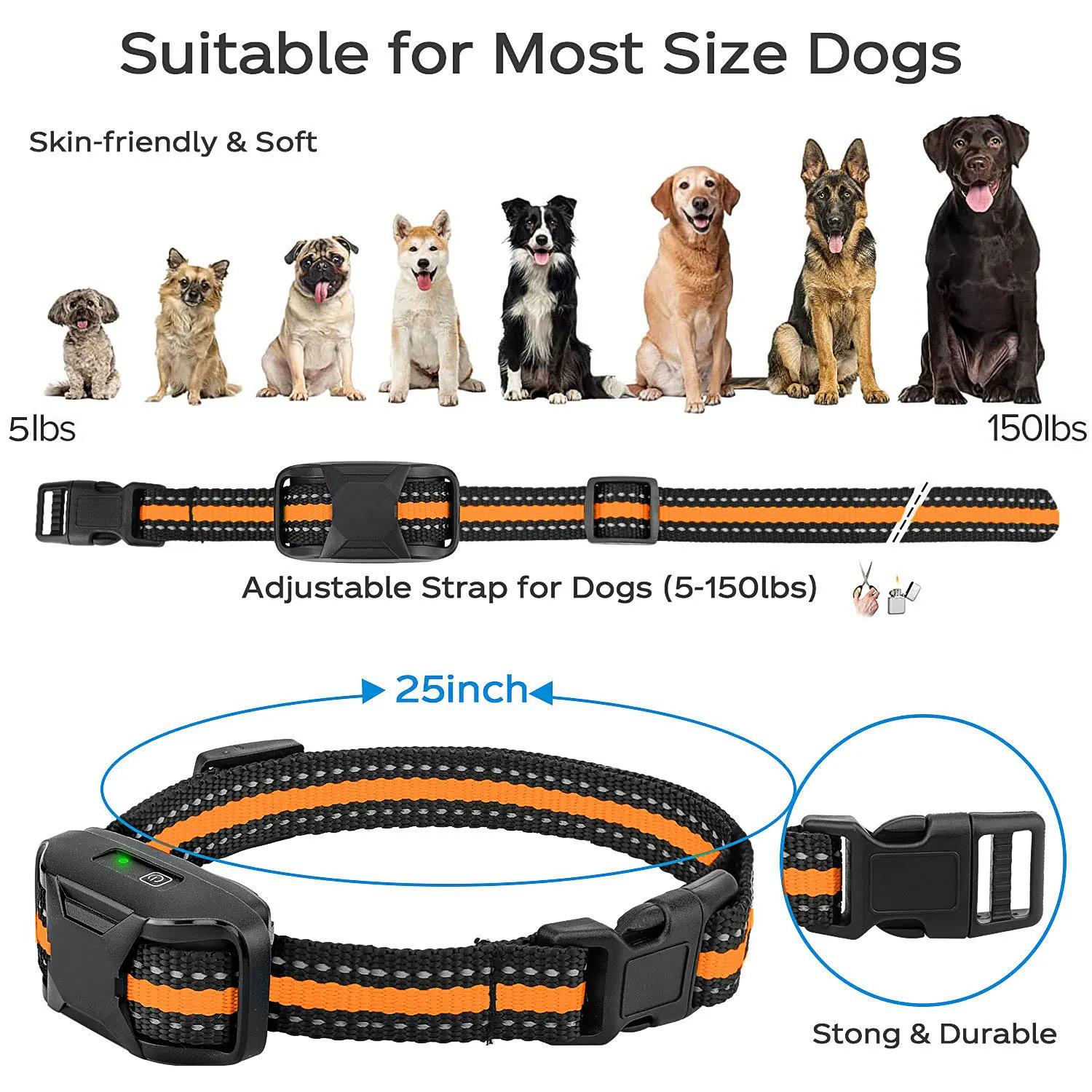 Collier de dressage électrique pour chien, 3300 pieds, télécommande, étanche, comportement pour anim
