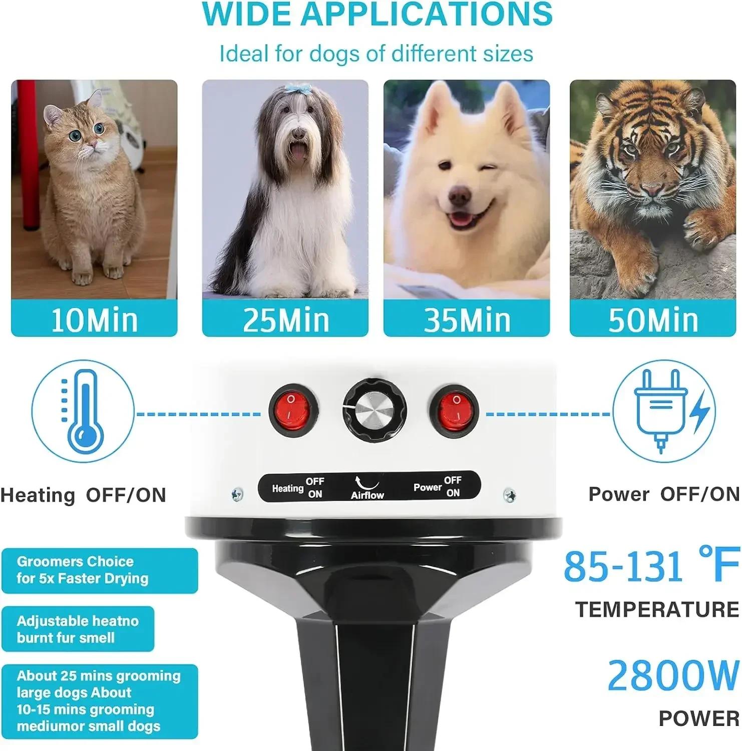 Sèche-cheveux rapide et silencieux pour animaux de compagnie, souffleur de toilettage pour chiens, v