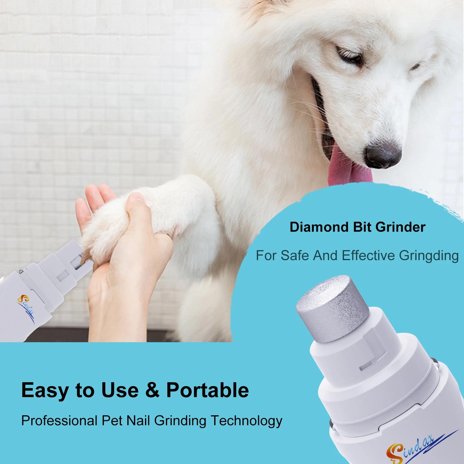 Broyeur à ongles électrique aste par USB pour animaux de compagnie, tondeuse et tondeuse, pattes ind