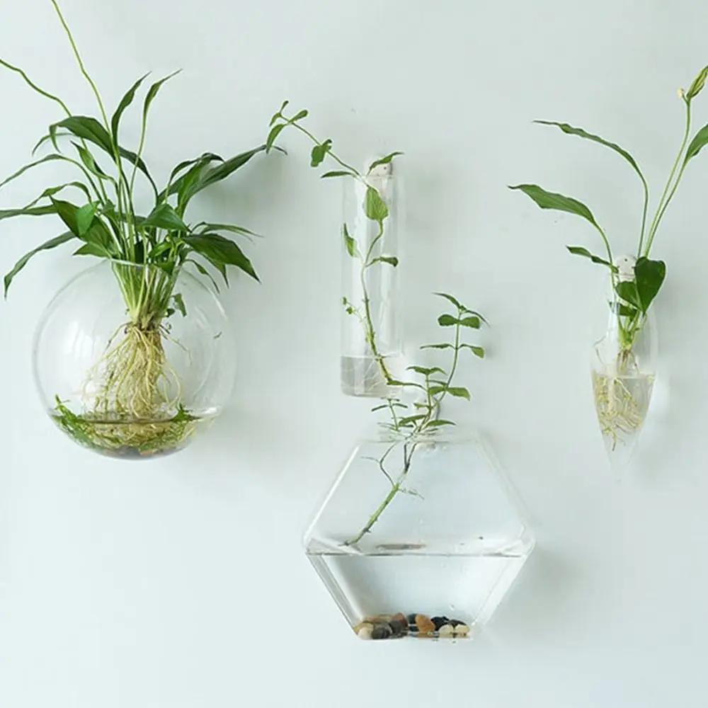 Plantes hydroponiques murales de forme irrégulière, artisanat en verre, vase hydroponique, récipient