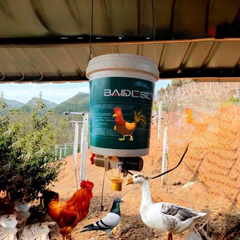 Mangeoire automatique pour poulets, support pour pigeons, canards, mangeoire pour pigeons, synchroni