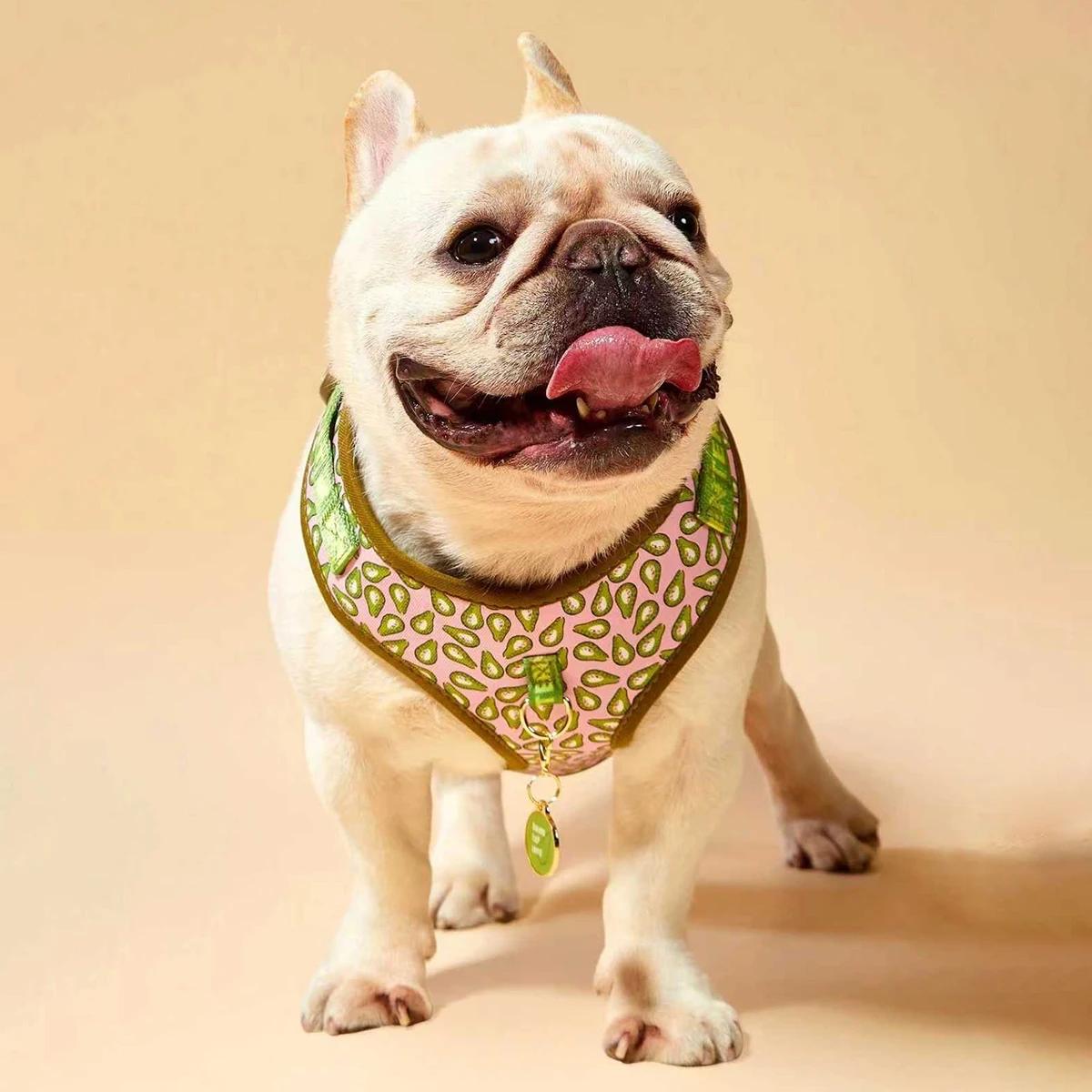 Harnais pour animaux de compagnie, cadeau de saint-valentin et du nouvel an, Design de luxe, réglabl
