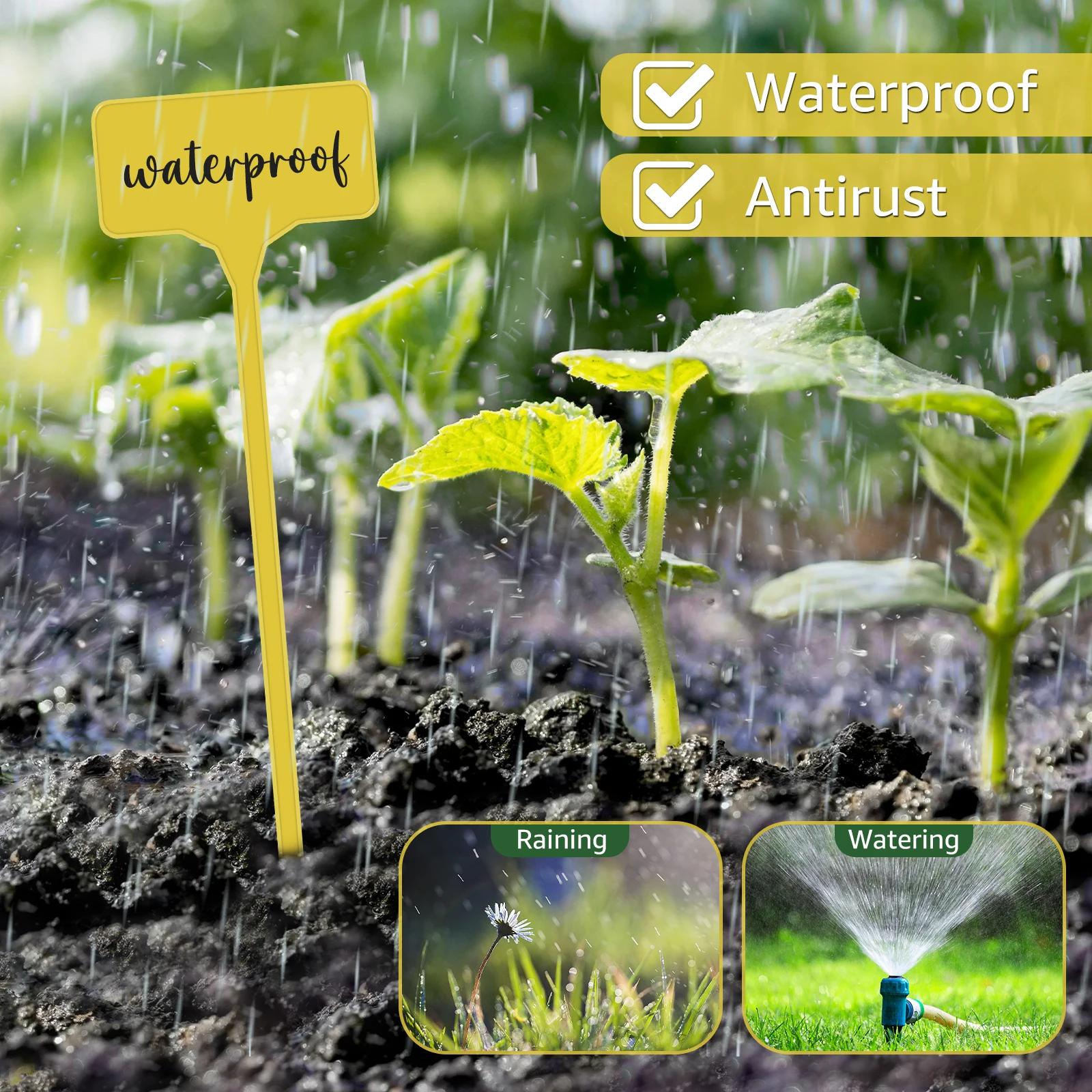 Étiquettes de plantes de jardin en plastique, étanches, de Type T, réutilisables, avec nom de plante