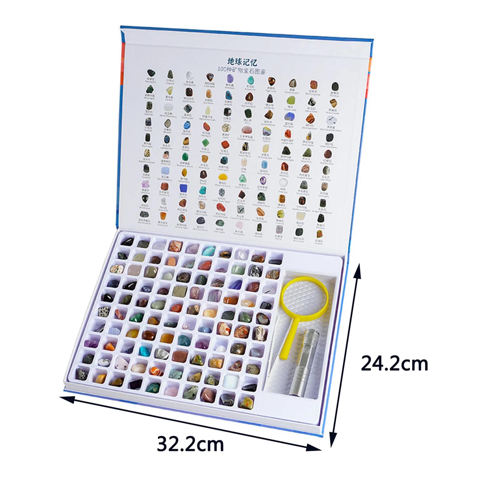 Livre de pierres précieuses naturelles pour enfants, collection de pierres précieuses, kit de géolog