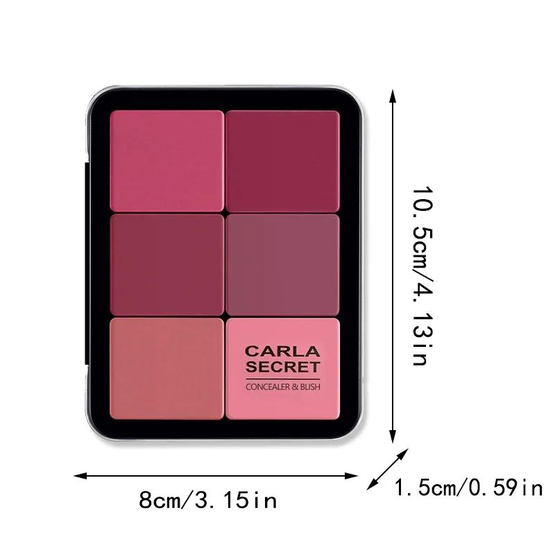 Palette de maquillage tout-en-un pour femmes, 12 couleurs, correcteur en étain métallique et crème B