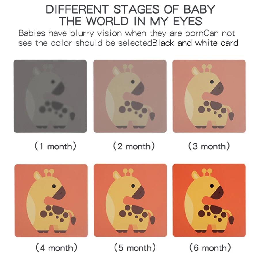 Cartes de Stimulation visuelle pour bébé, carte Flash Montessori à contraste élevé, cadeau pour nour