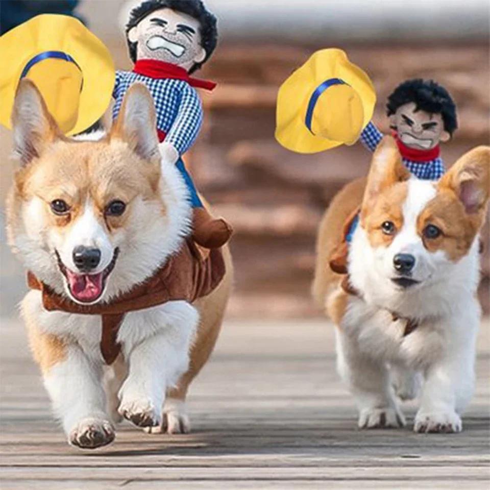NONOR-Vêtements de ixd'Halloween pour Chien, Veste Cowboy IQUE Up Amusante, Combinaison Bouledogue F