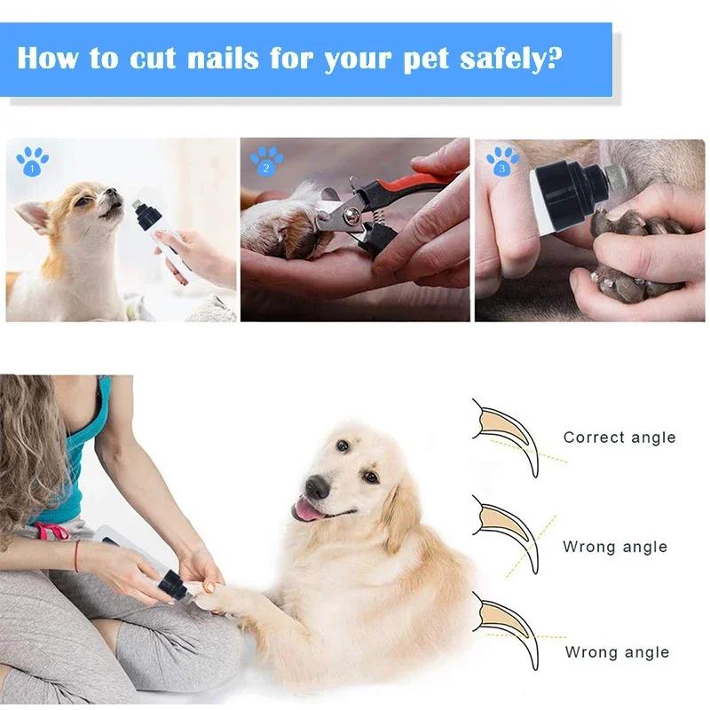 Broyeur à Ongles Électrique Indolore Rechargeable par USB, Coupe-Ongles Silencieux pour Chien et Cha