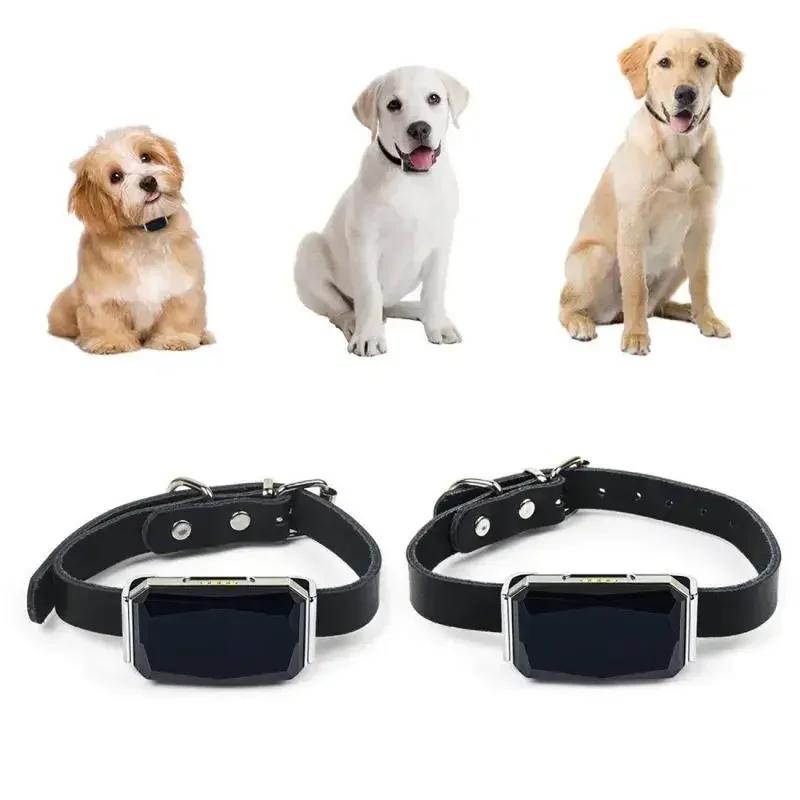 Collier pour animaux de compagnie étanche IP67, lumière Wifi, traceur GPS pour animaux de compagnie,