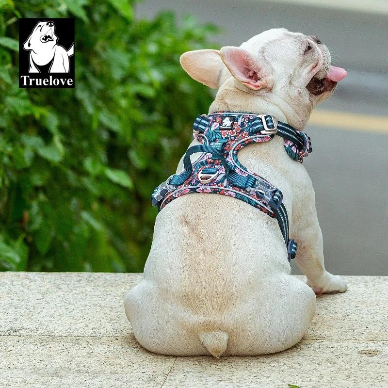 Truelove harnais pour animaux de compagnie petit moyen grand chien fendu mode extérieur livraison di
