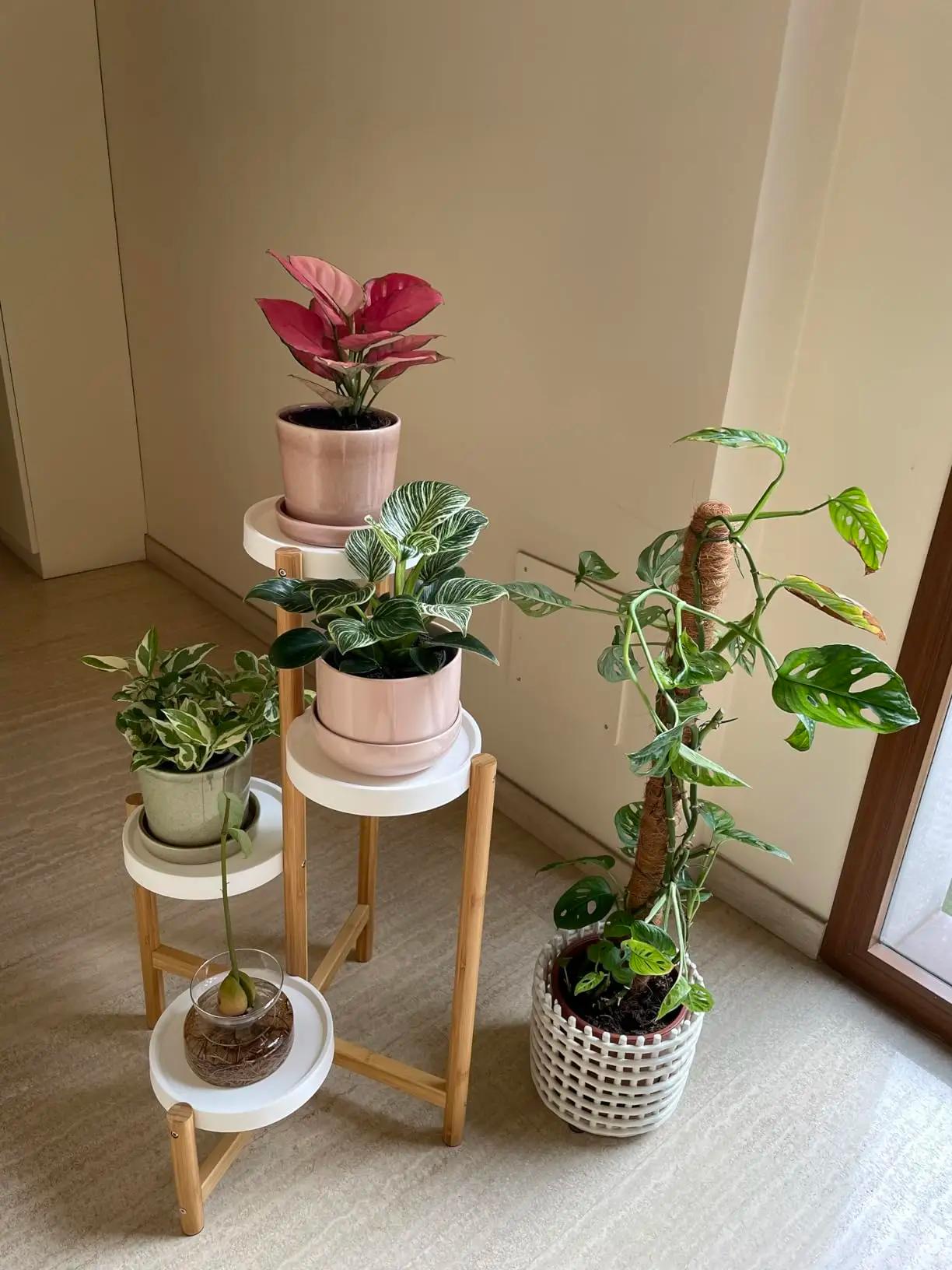 Porte Plante en Bambou, Etagère Plantes à 4 Niveaux Escalier Plantes sur Pieds Intérieur Extérieur p