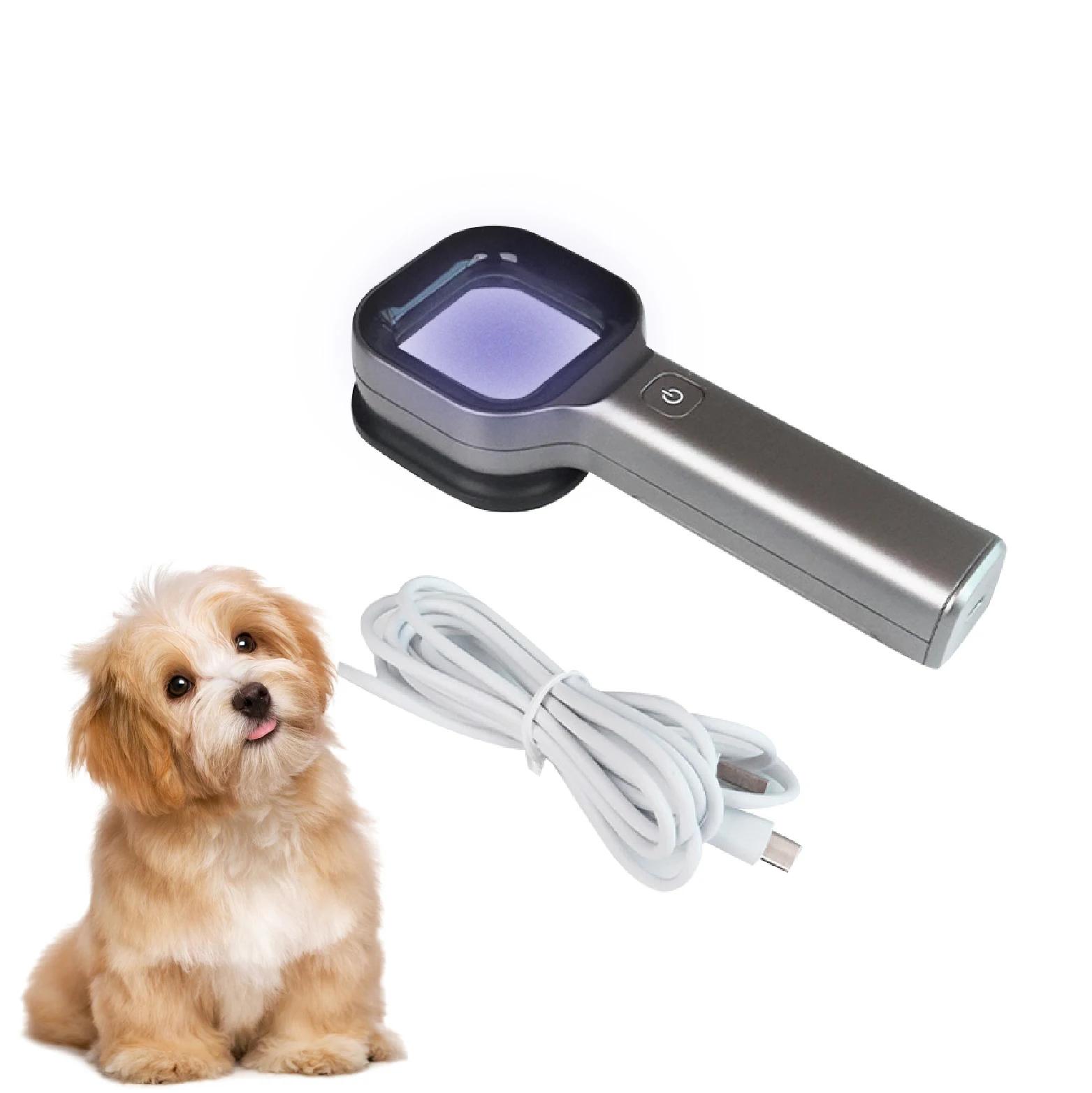 Lampe de Wood pour animaux de compagnie, rechargeable par USB, portable, avec filtre, pour diagnosti