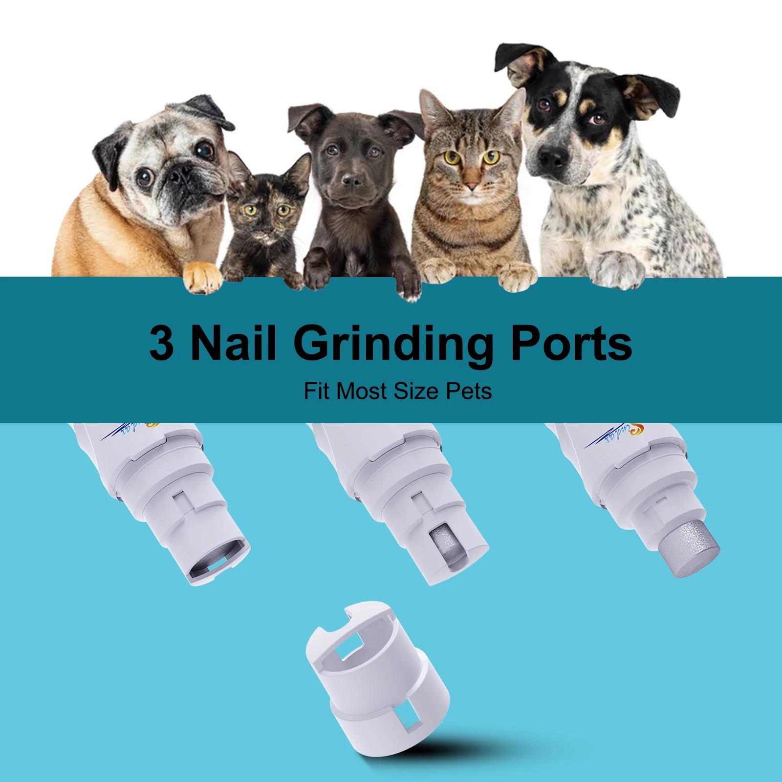 Broyeur à ongles électrique aste par USB pour animaux de compagnie, tondeuse et tondeuse, pattes ind