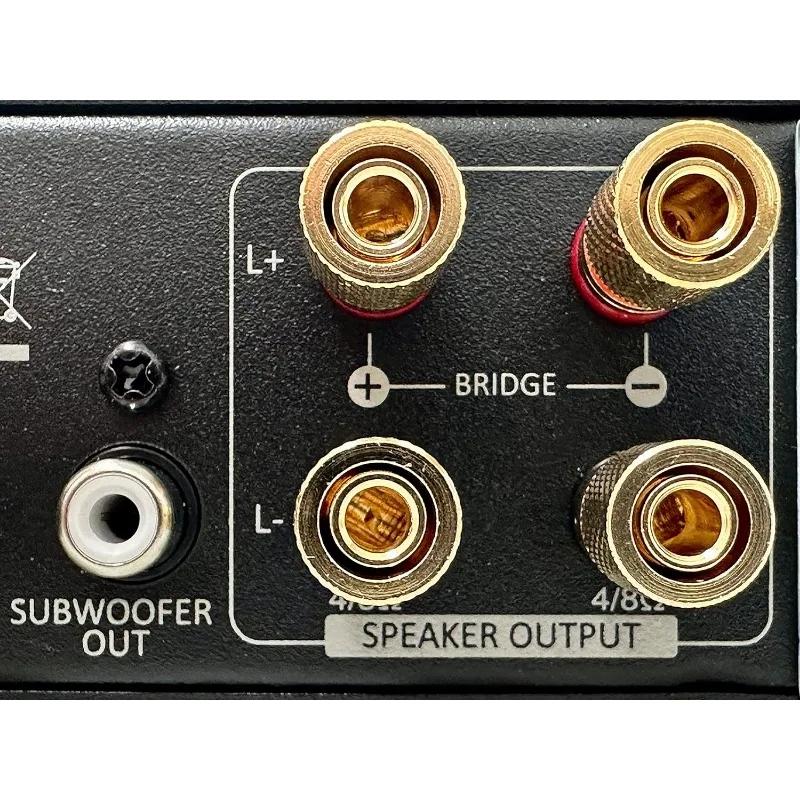 Kit de haut-parleurs arrière de son surround sans fil WSA-5RP-PLUS avec amplificateur 2x100W intégré