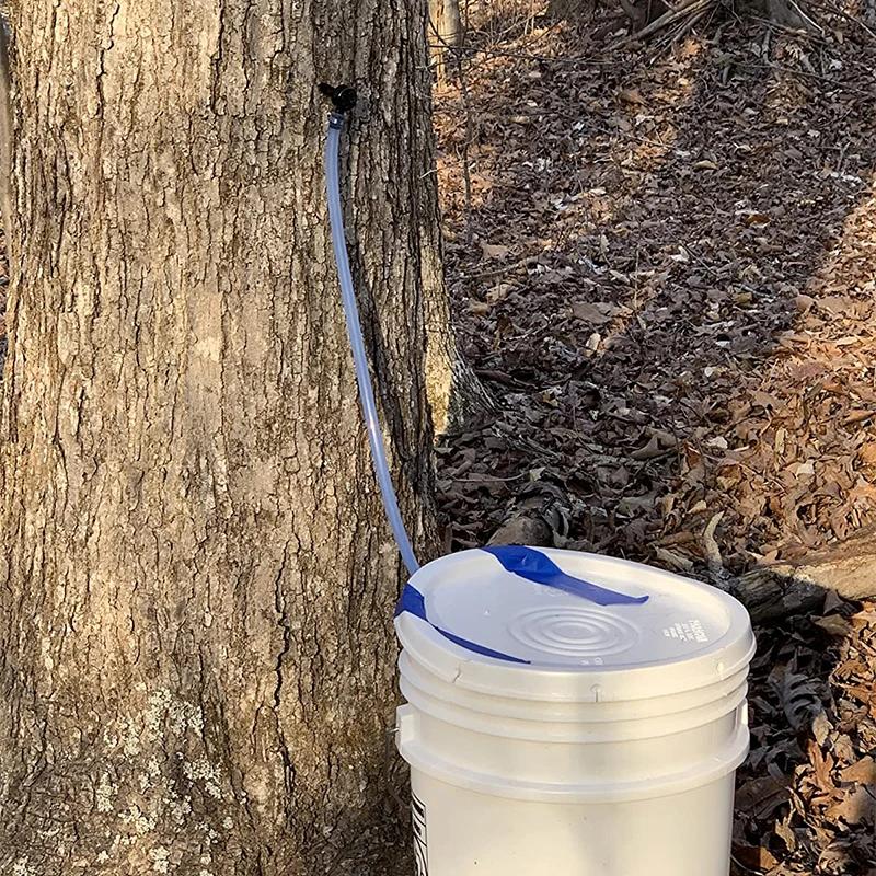 Kit de taraudage d'arbre à sirop d'érable, ensemble de robinets compte-gouttes de Sap en érable, Tub