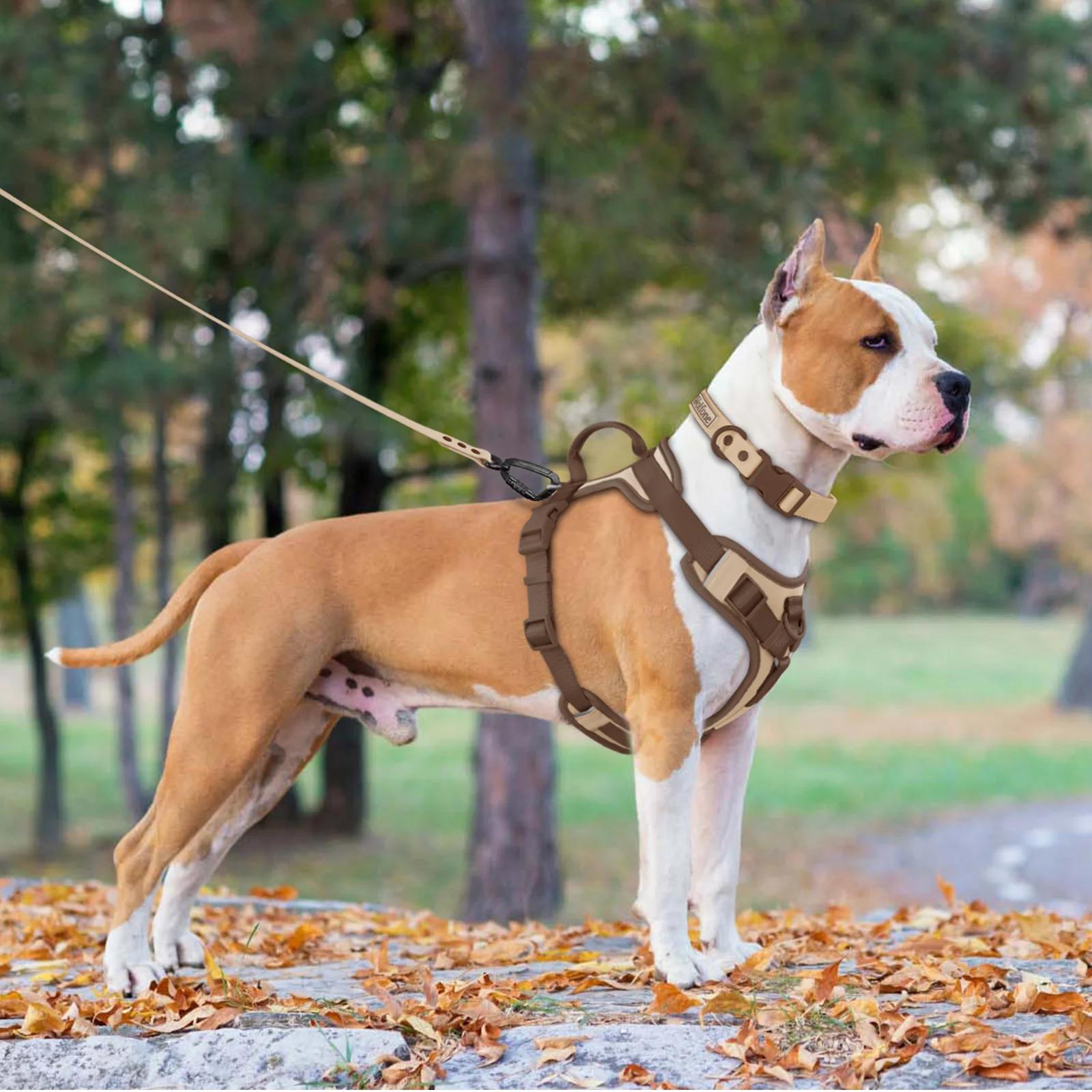 Nouveau Harnais pour chien de luxe couleur chocolat sans traction pour grands petits chiens sangle d