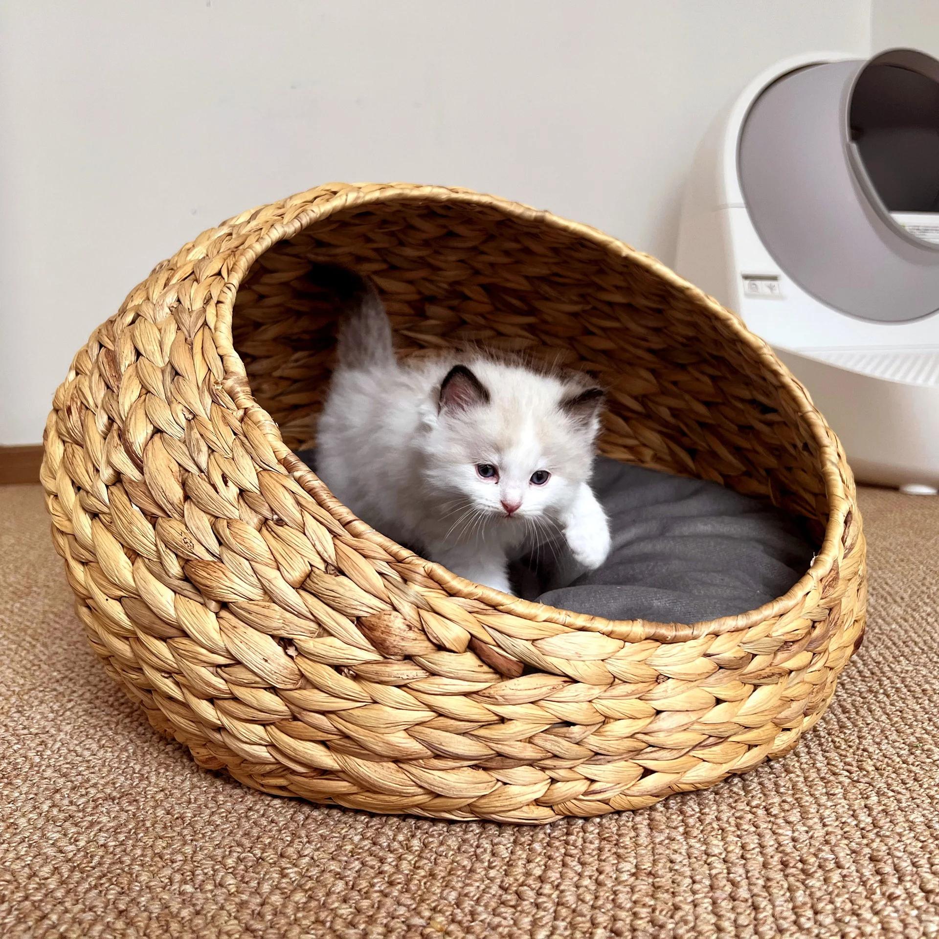 Nid pour animaux de compagnie semi-fermé en jacinthe d'eau populaire, litière en rotin pour chat, li