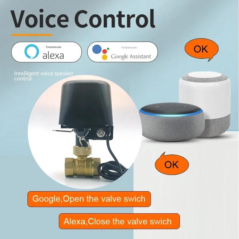 Tuya Zigbee WIFI vanne d'eau intelligente DN15 DN20 DN25 contrôle domotique robinet minuterie prise 