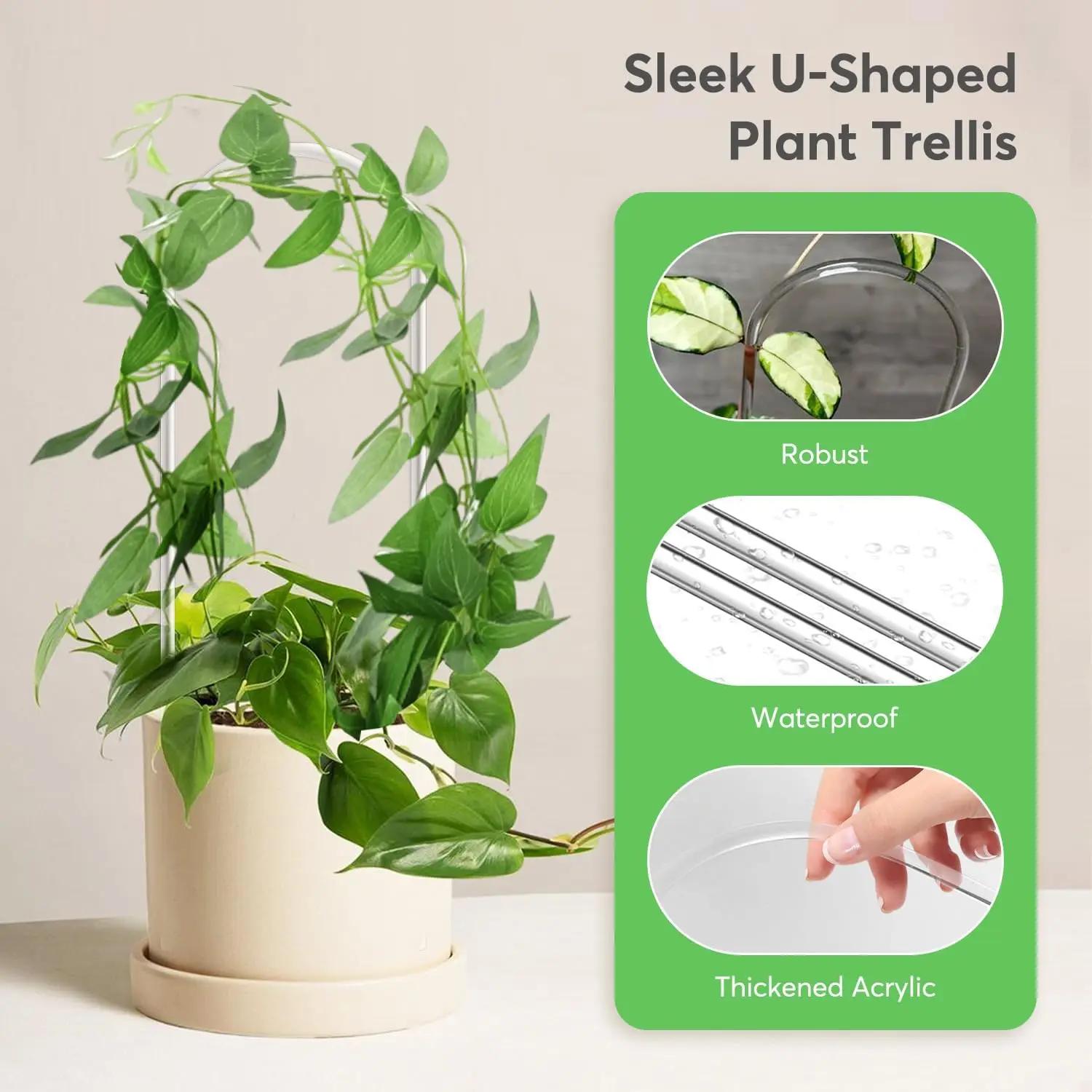Cadre d'escalade pour plantes en acrylique transparent en forme de U, structure de support spécialem