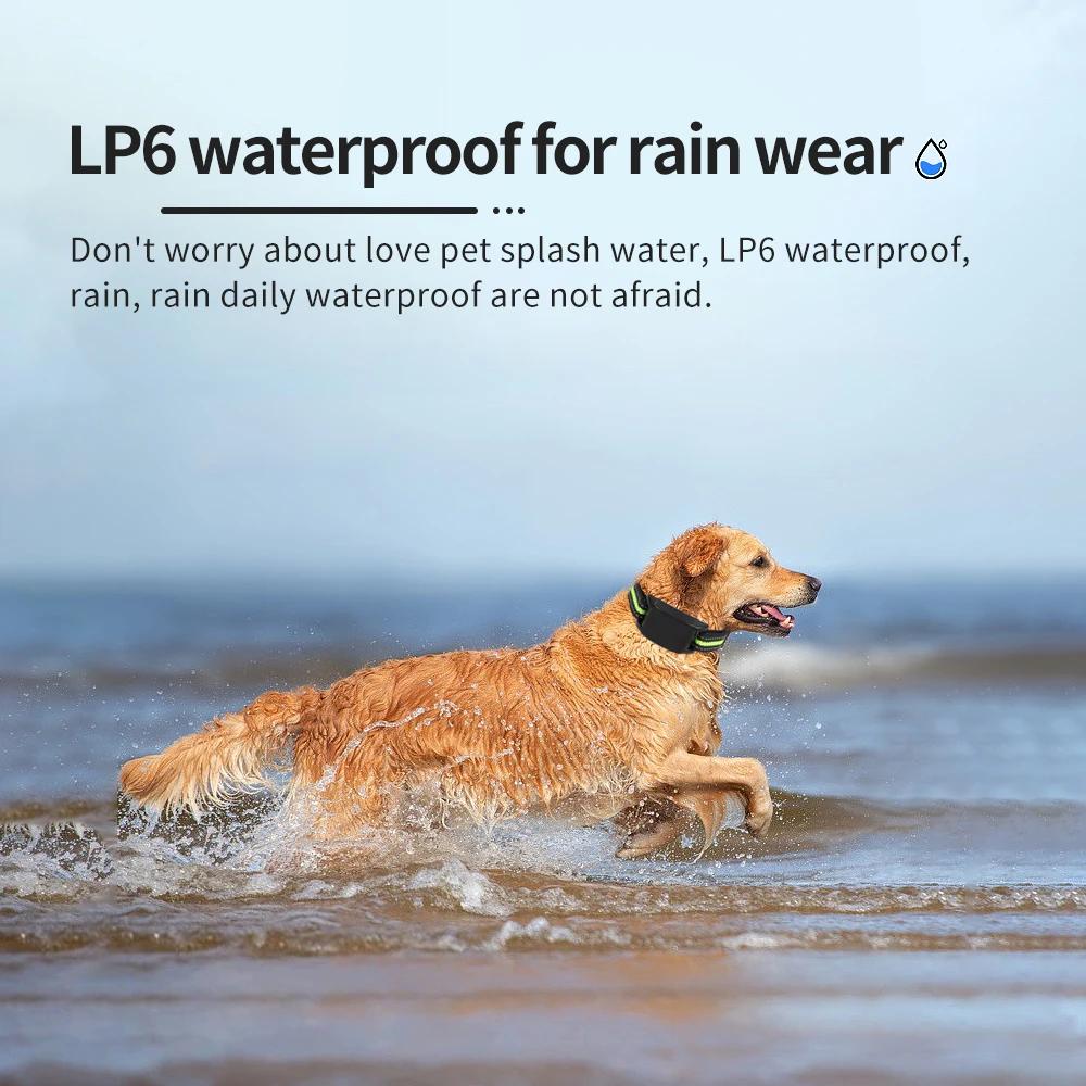 Collier Anti-aboiement automatique pour chien, colliers d'entraînement rechargeables par USB, sécuri