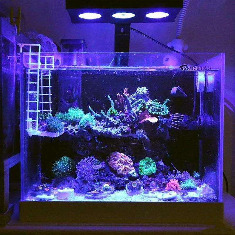 Spectra Character029-Lampe d'Aquarium d'Eau Salée, Éclairage avec Commande Tactile, 30W, pour Sites,