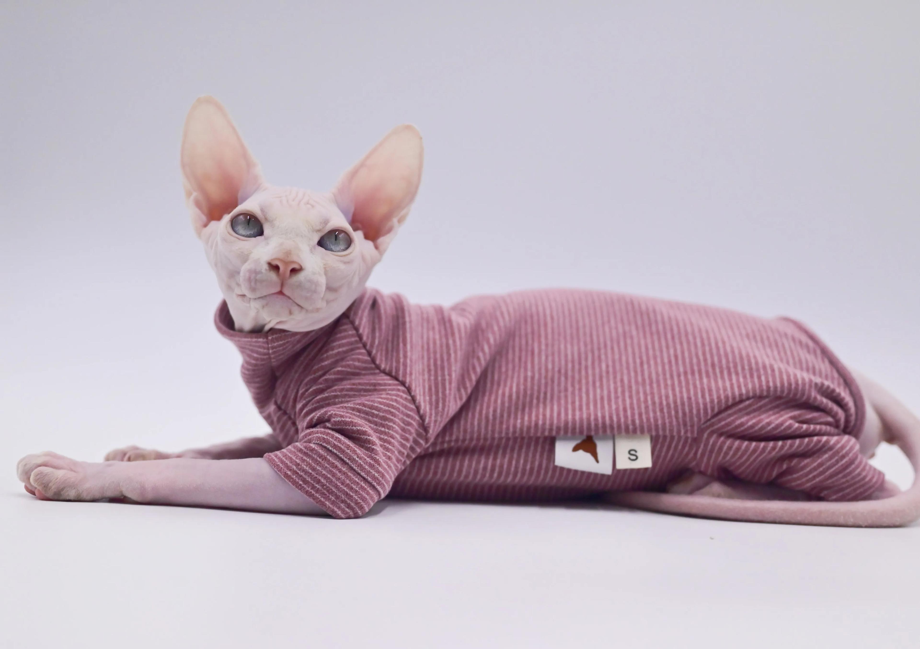 Vêtements pour chats sans poils, sweat à capuche chaud et doux à quatre pattes pour chats Sphynx pou