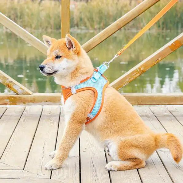 Harnais réfléchissant pour animaux de compagnie XXXS-L, sangle pour chiens avec laisse, gilet réglab