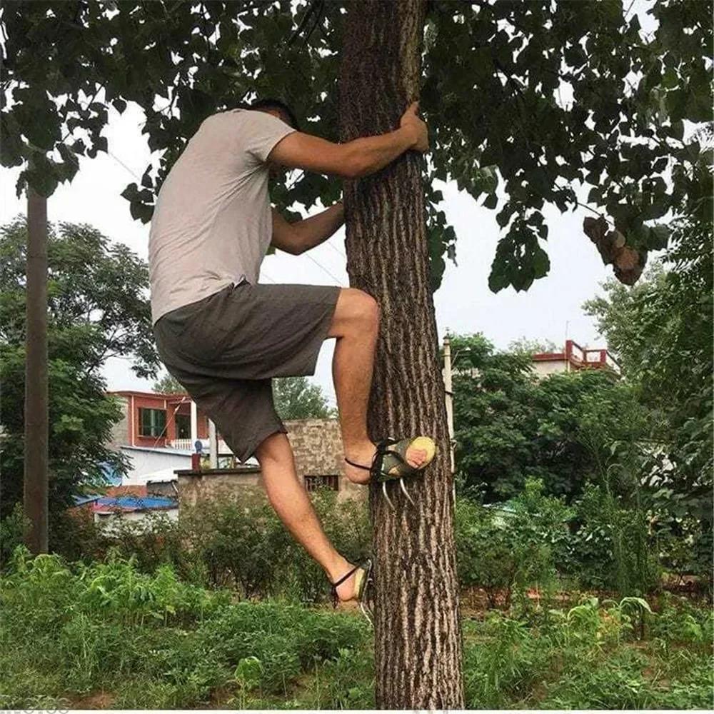 Outil d'escalade d'arbre, pointes d'escalade pour chaussures de chasse, escalade d'arbre en acier, c