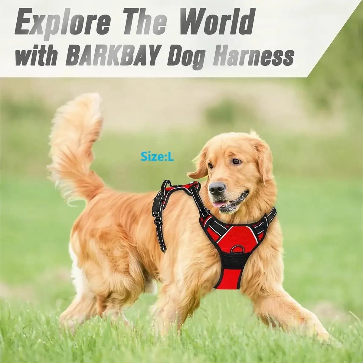 Colliers pour chiens, harnais, grands gilets, laisse, boutique d'animaux, tout pour chiens, accessoi