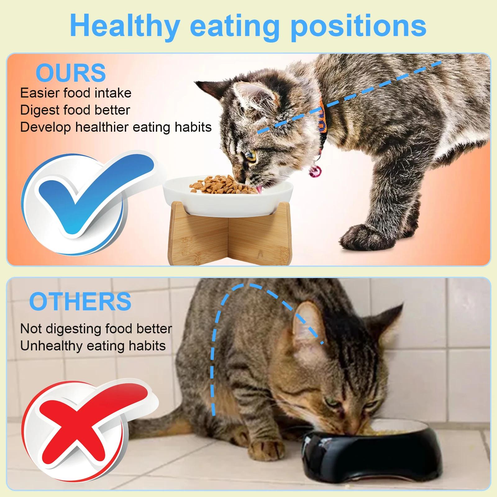 Bol pour chat surélevé bols pour chat surélevés avec support en bois bol d'alimentation lente en cér