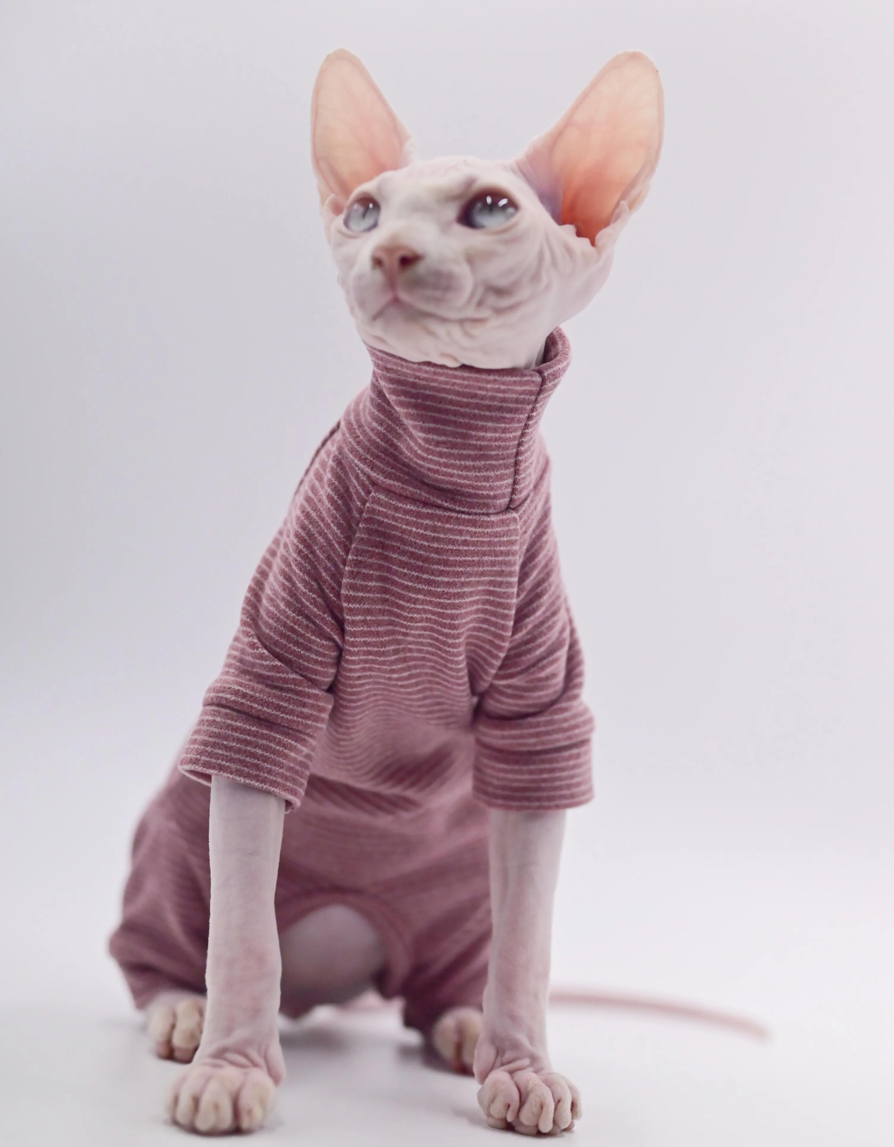Vêtements pour chats sans poils, sweat à capuche chaud et doux à quatre pattes pour chats Sphynx pou