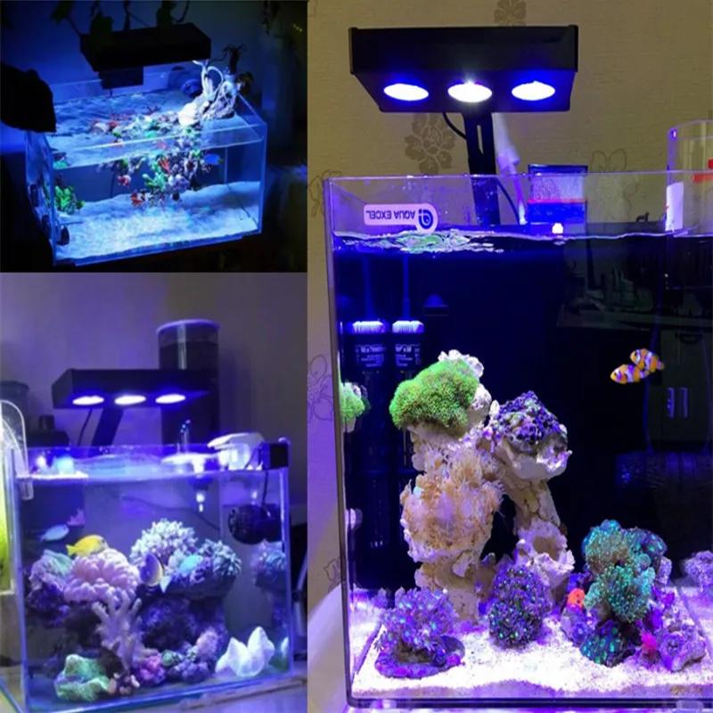 Spectra Character029-Lampe d'Aquarium d'Eau Salée, Éclairage avec Commande Tactile, 30W, pour Sites,