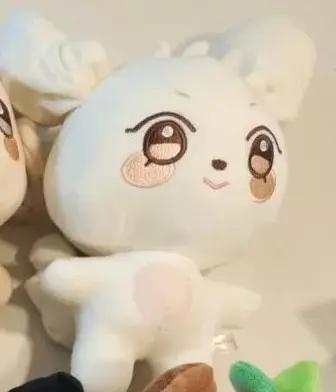 Animaux en peluche Kawaii Kpop Aniteez, jouet en peluche, décoration de chambre, 14-joong, Seonghwa,