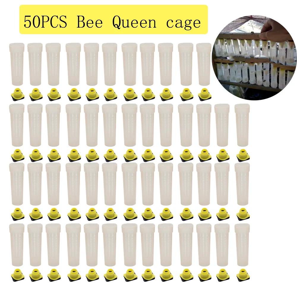 50 pièces Nicot abeille cheveux rouleau reine Cages en plastique protection scellé cellule couvertur