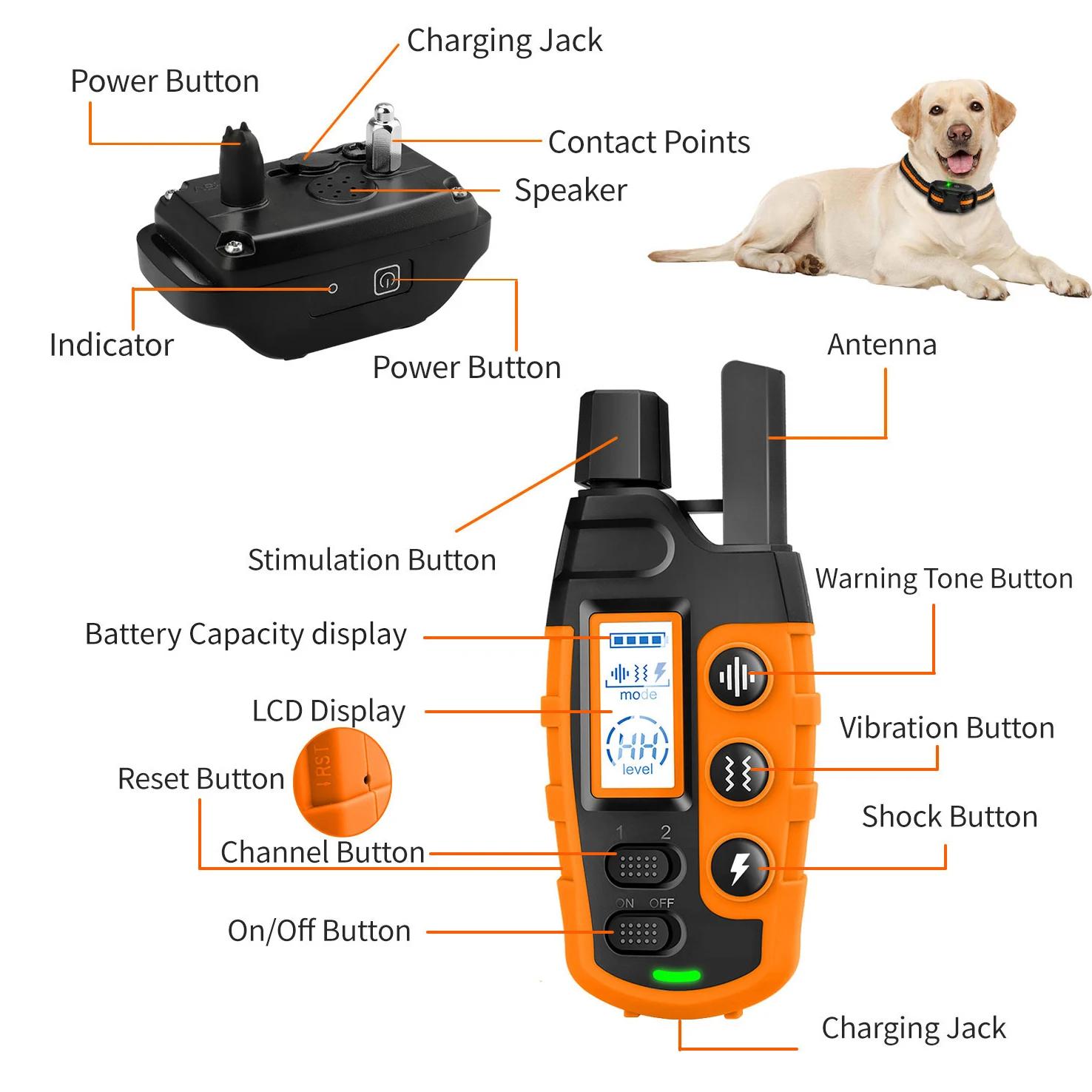 Collier de dressage électrique pour chien, 3300 pieds, télécommande, étanche, comportement pour anim