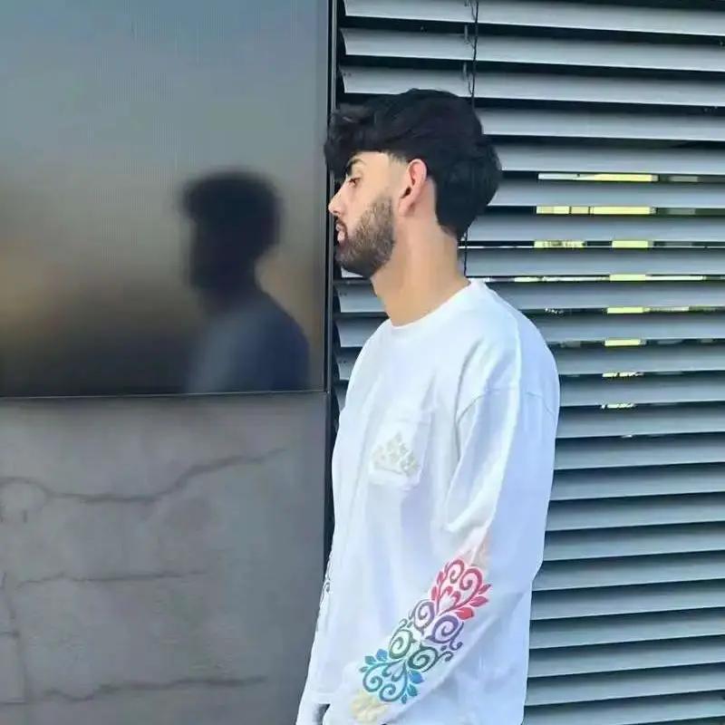 Nouveau pull Y2K tendance et polyvalent à manches longues, imprimé floral et feuilles, style rétro H