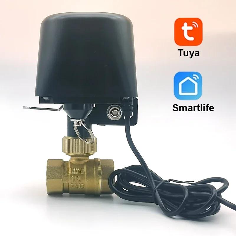 Tuya Zigbee WIFI vanne d'eau intelligente DN15 DN20 DN25 contrôle domotique robinet minuterie prise 