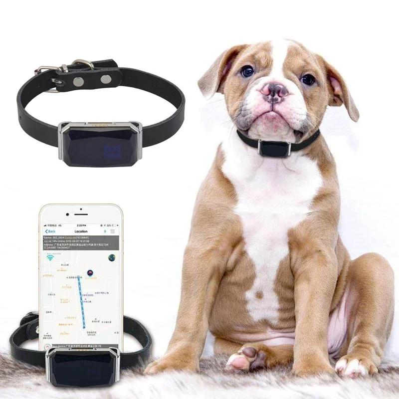 Collier pour animaux de compagnie étanche IP67, lumière Wifi, traceur GPS pour animaux de compagnie,